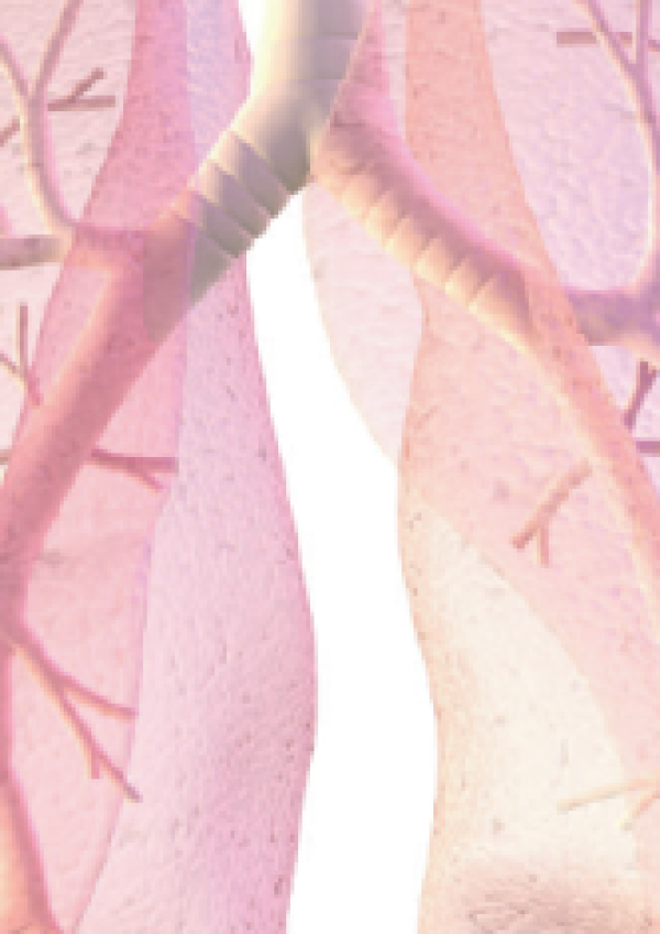 Palliatieve zorg bij COPD